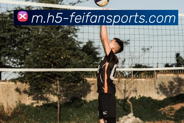 体育下注平台生态图